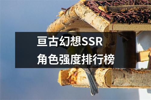 亘古幻想SSR角色强度排行榜